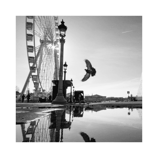 le temps de la roue